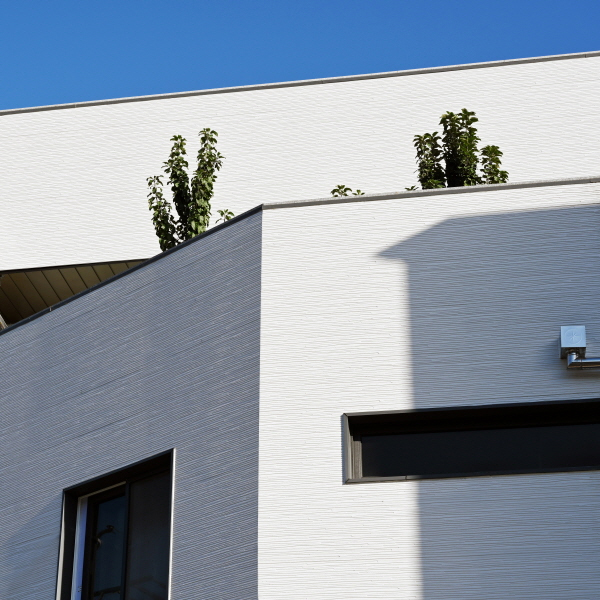 EFF 151X, EFX 3153X_���ֱ����� ���걸 �ð����3